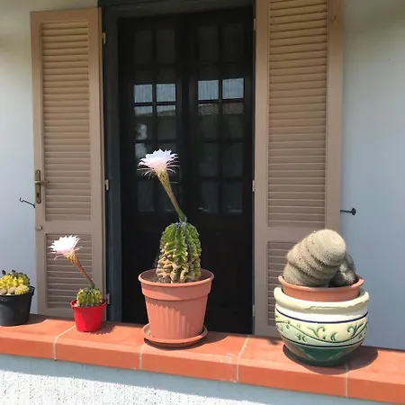 La Casa Di Alide 펜션 톤파노